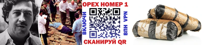 Купить где  Порхов  Кокаин Fish Scale 