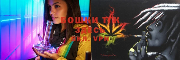 гидра Зеленодольск