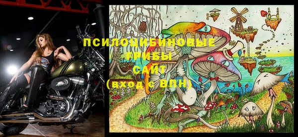 гидра Зерноград