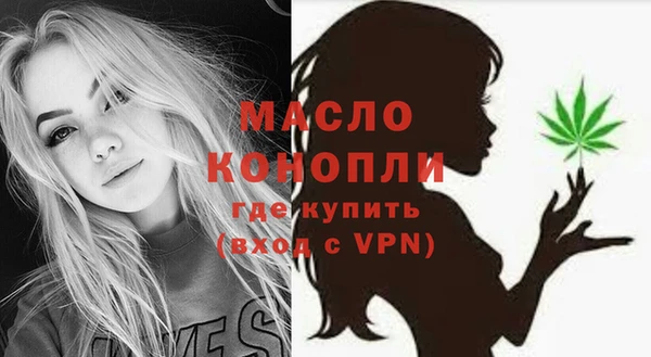 гидра Зеленодольск